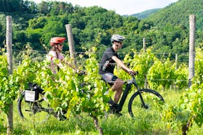 E-Bike Tour to Renaissance Villas and Le Mura from Lucca