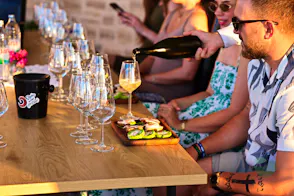 Karaba Wine Tasting in Pakoštane near Zadar