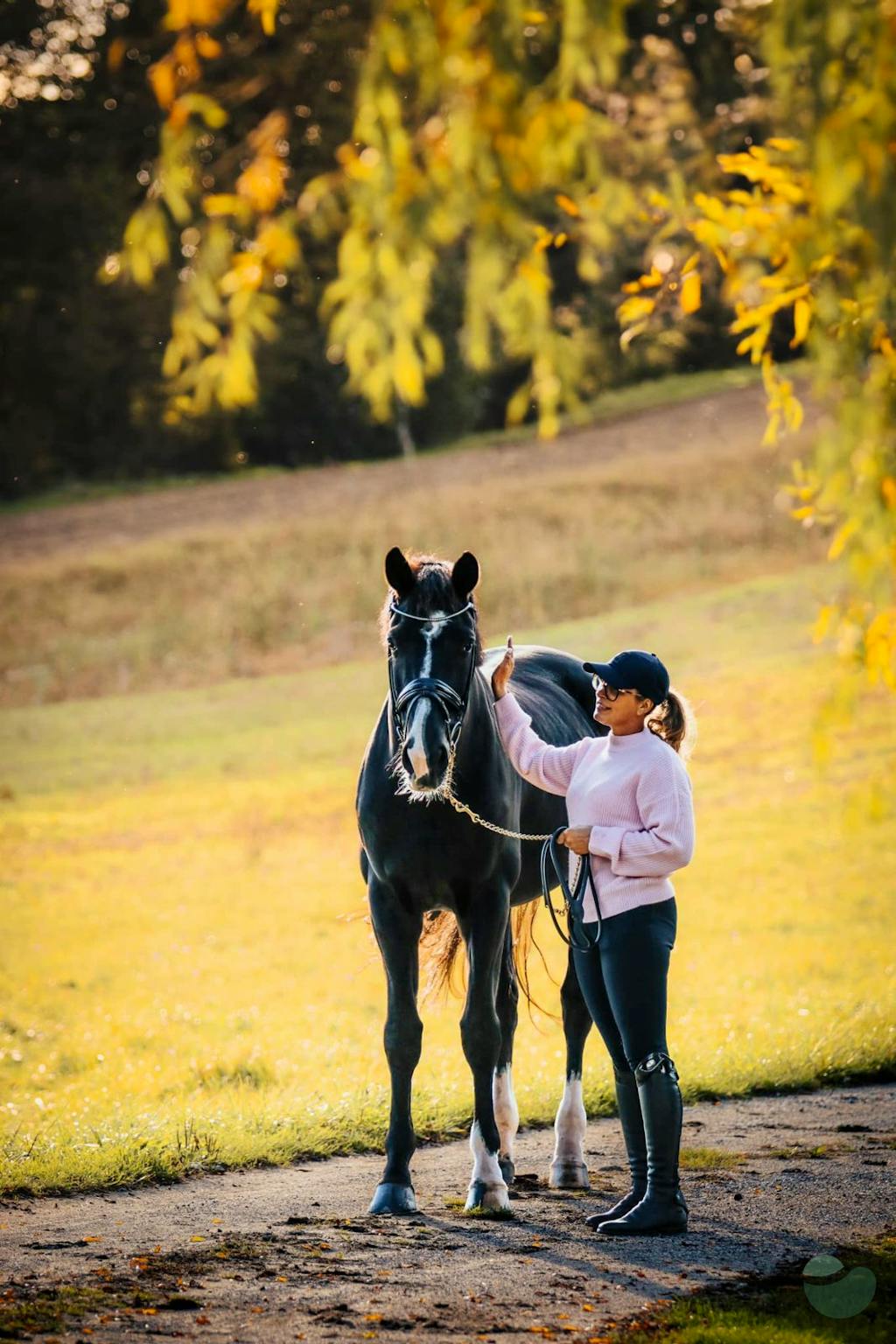 A Horseback Adventure in the Enosophia Vineyards