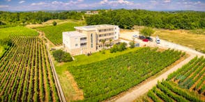 Vinarija Marijanović