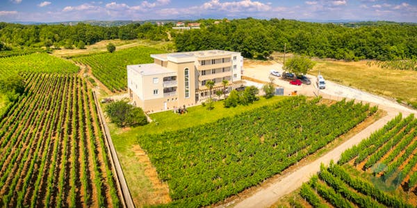 Vinarija Marijanović