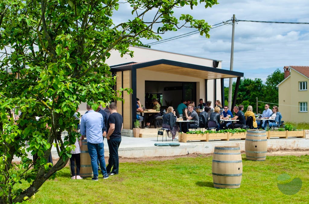 Exclusive Wine Tasting Adventure in the Heart of Istra