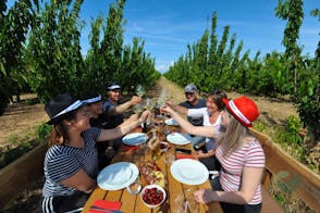 Lunch in Croatia's Largest Cherry Plantation, Nin