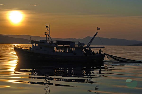 Nighttime Trawling Adventure & Fresh Catch Dinner on Krk