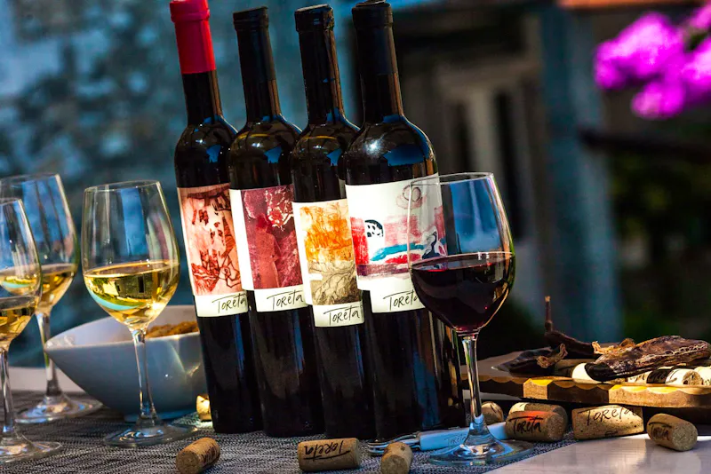 Wine experience on Korcula island