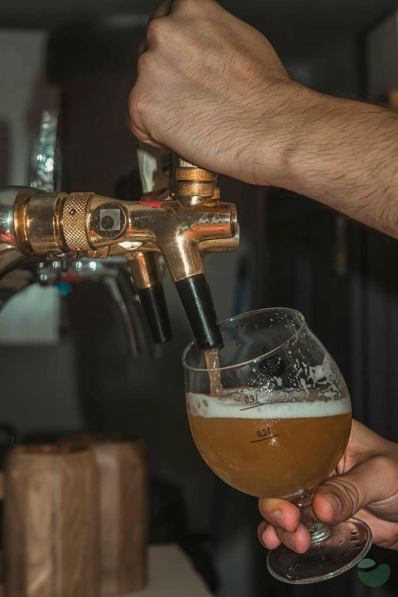 Zadar craft beer tasting private tour