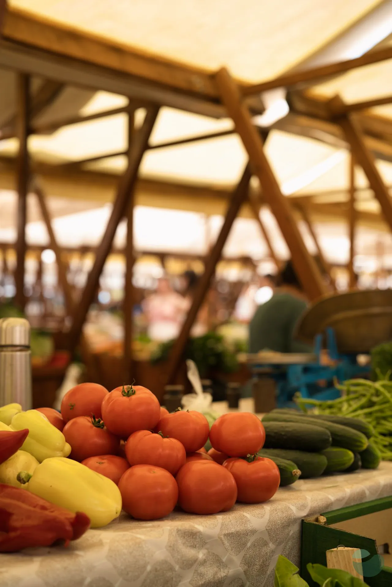 Zadar City Market Food Tour