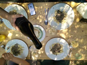 Wine tours in Istria: Wine and truffle