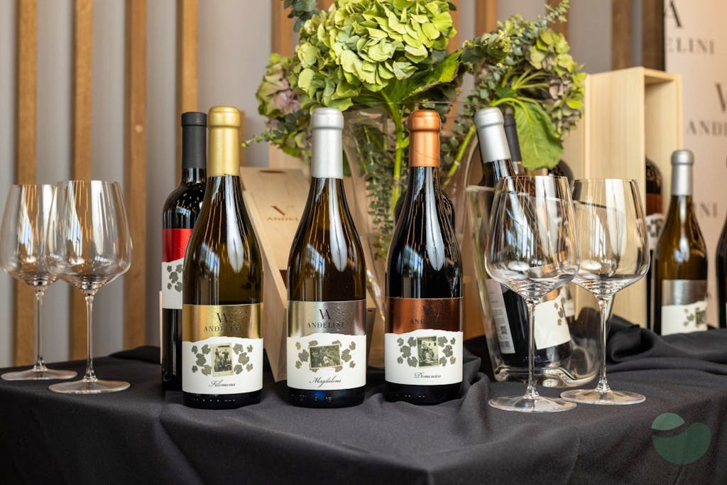 Wine and honey tasting near Pazin