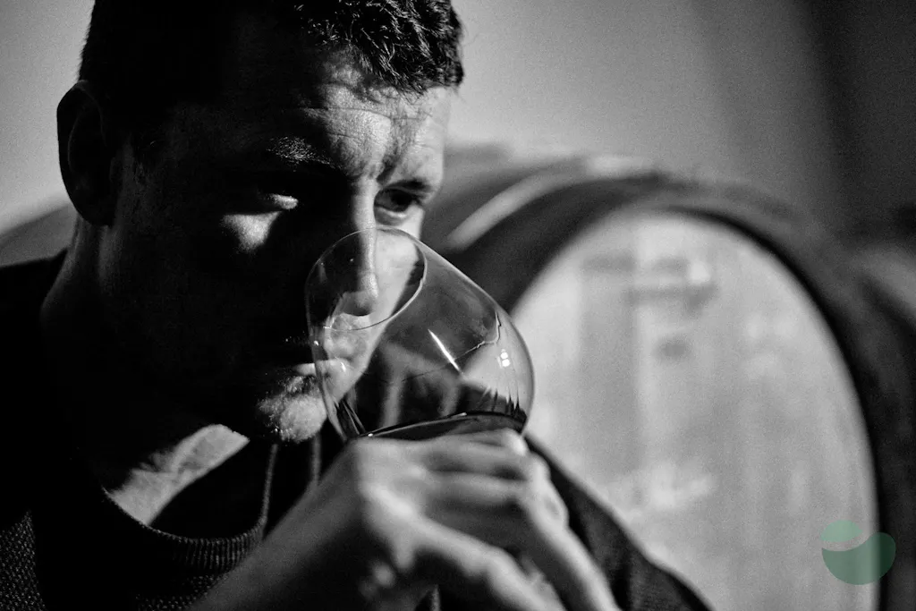 Baraka Winery near Šibenik: Riserva Tasting