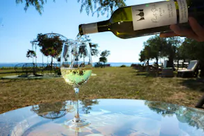 Kraljevski Vinogradi wine tasting experience near Zadar