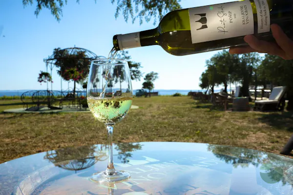 Kraljevski Vinogradi wine tasting experience near Zadar