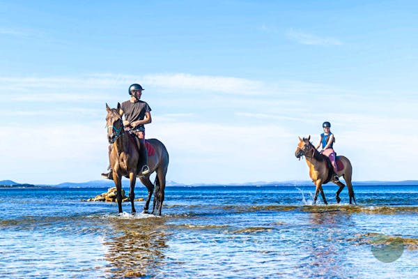 Horse riding in Zaton Holiday Resort