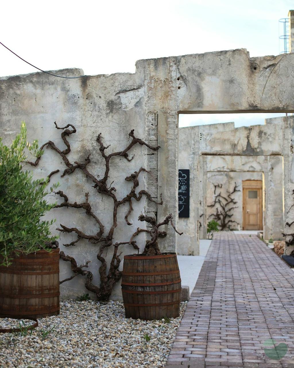 Unique Open Sky Tasting at the Foot of Velebit Mountain