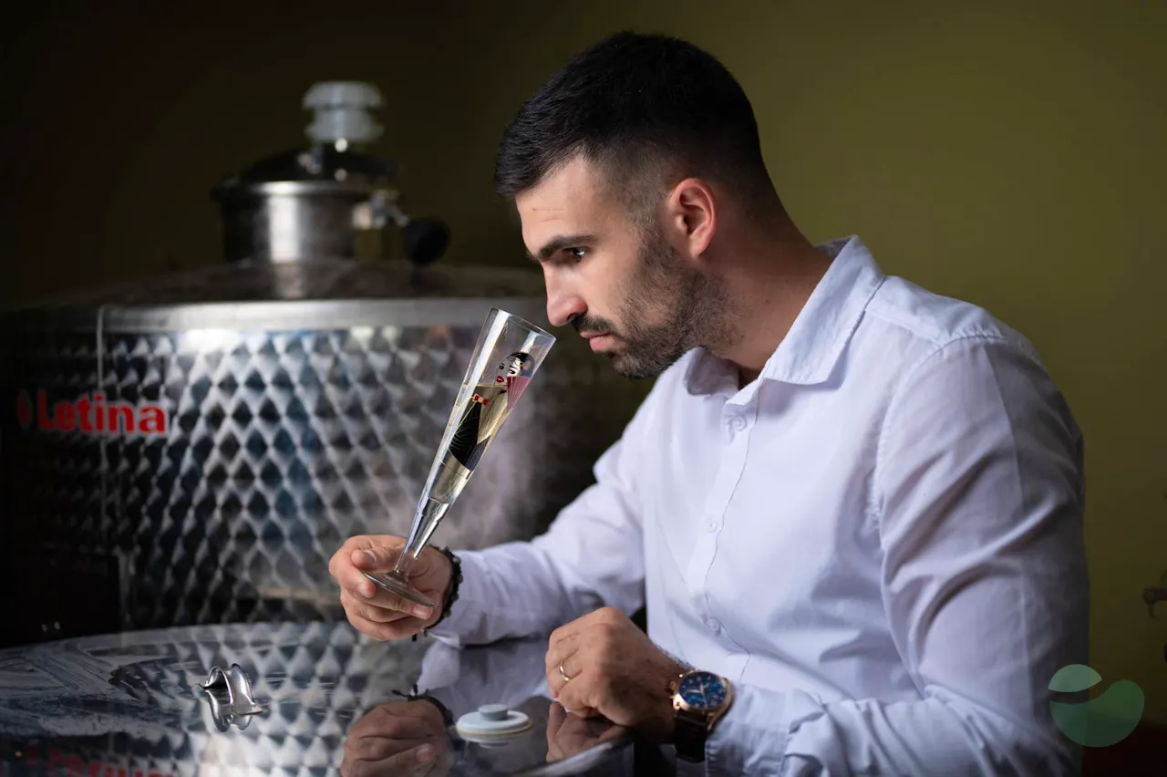 Honey & Mead Tasting Experience near Velebit