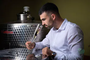 Honey & Mead Tasting Experience near Velebit