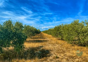 Explore Zadar: Wine, Food, History & Nature in One Day