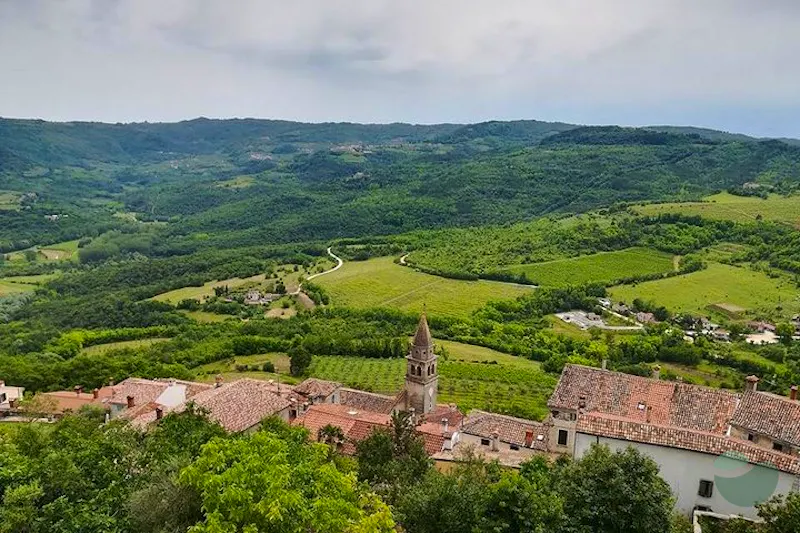 Istria full day tour with truffle tasting in Motovun
