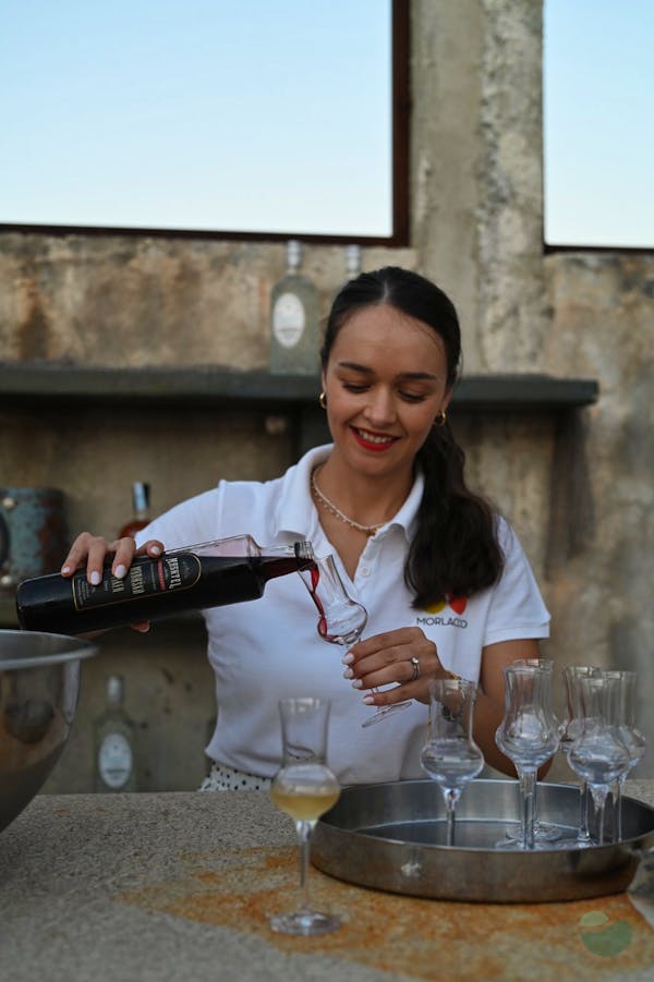 Sea Luxury & 5 Wine Elegances, in Morlacco, near Velebit