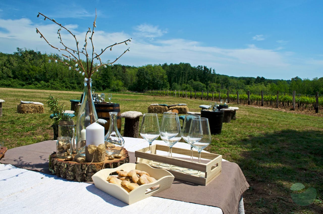 Wine tasting surrounded by peaceful nature in vineyard