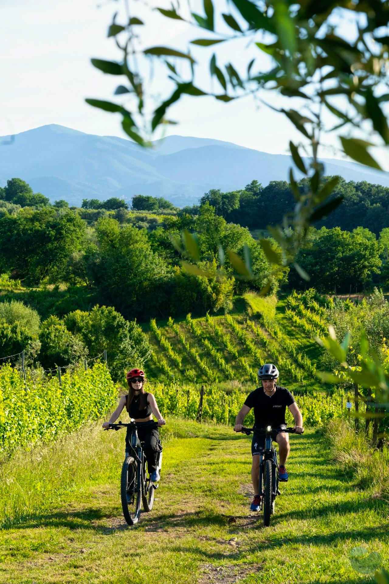 Unique Montecarlo E-Bike Tour with Lunch & Wine Tasting