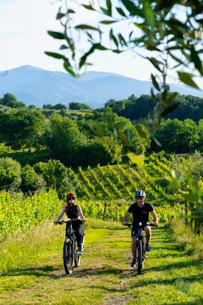 Unique Montecarlo E-Bike Tour with Lunch & Wine Tasting