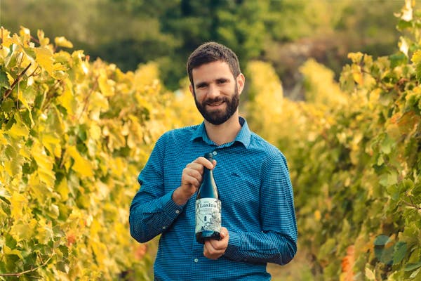 Taste of home: 6 wines&7 course meal in Ante Sladić Winery