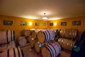 Awarded wine and authentic Istrian food tasting near Motovun