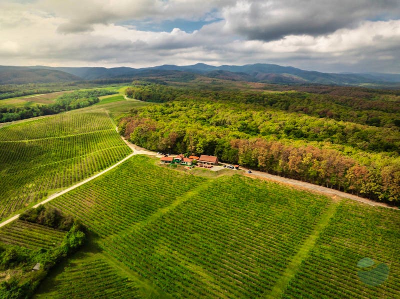 Photoshoot in the beautiful stables in Enosophia Vineyards