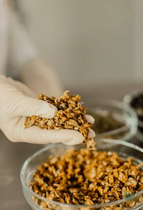 Čapljina: Beekeeper For a Day