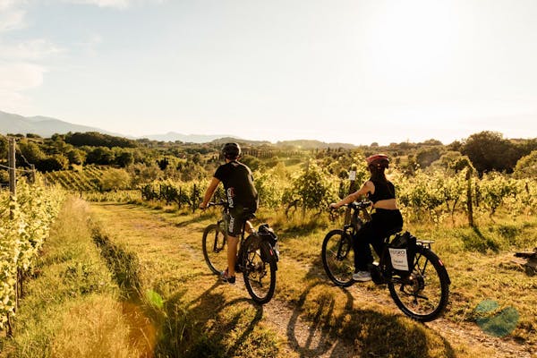 Thrilling e-bike tour through the hills of Lucca with lunch