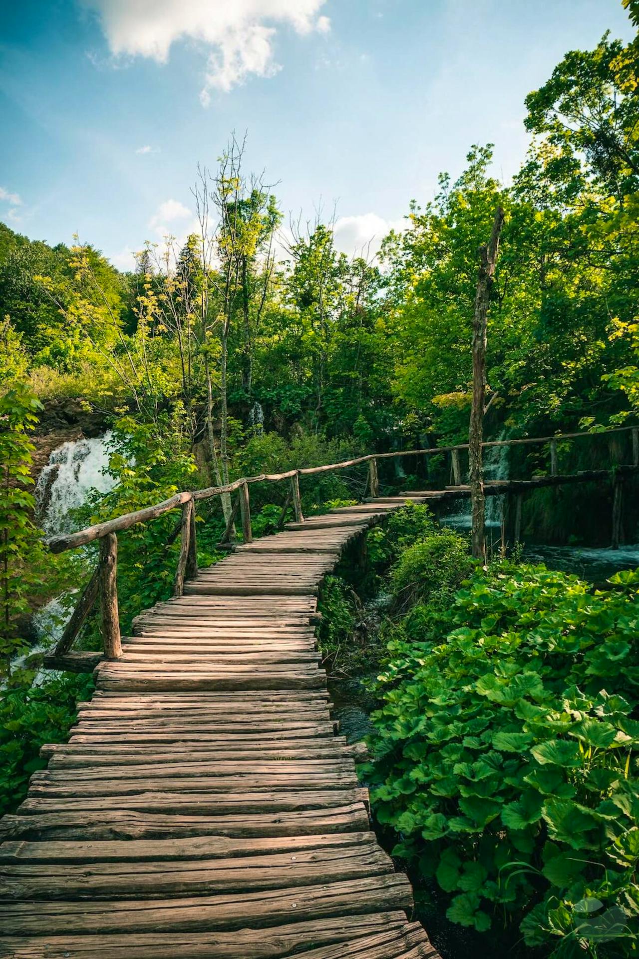 Enjoy Plitvice Lakes Beautiful Landscape