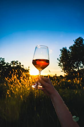 Traditional Tasting of 5 Wines in Karaba Winery, near Zadar