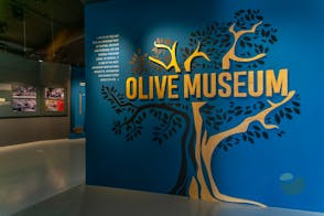 Olive museum Klis