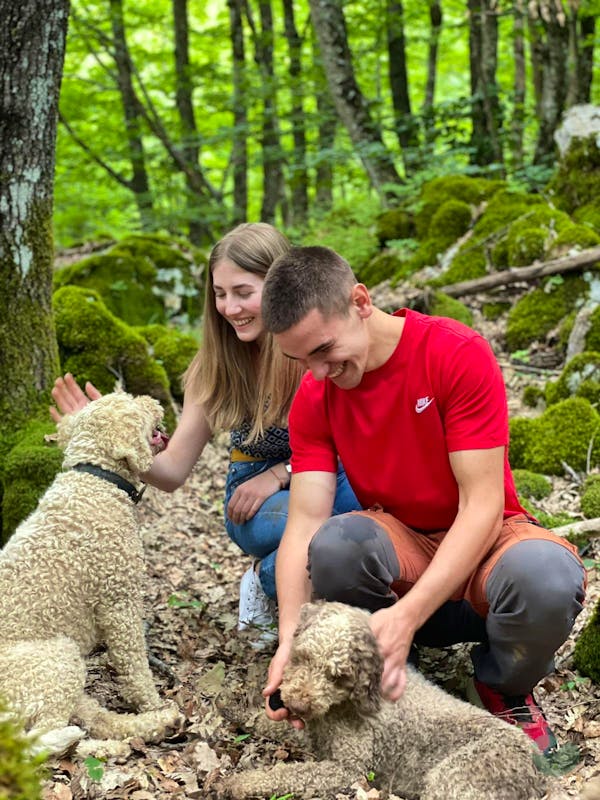 Embark on a truffle hunting adventure in Velebit