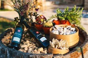 Karaba Tasting Experience: 3 wines, near Zadar