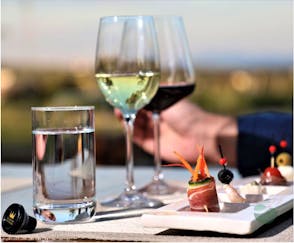 Wine & food pairing tour in Zadar region