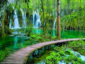 Experience the beauty of Plitvice Lakes from Zadar