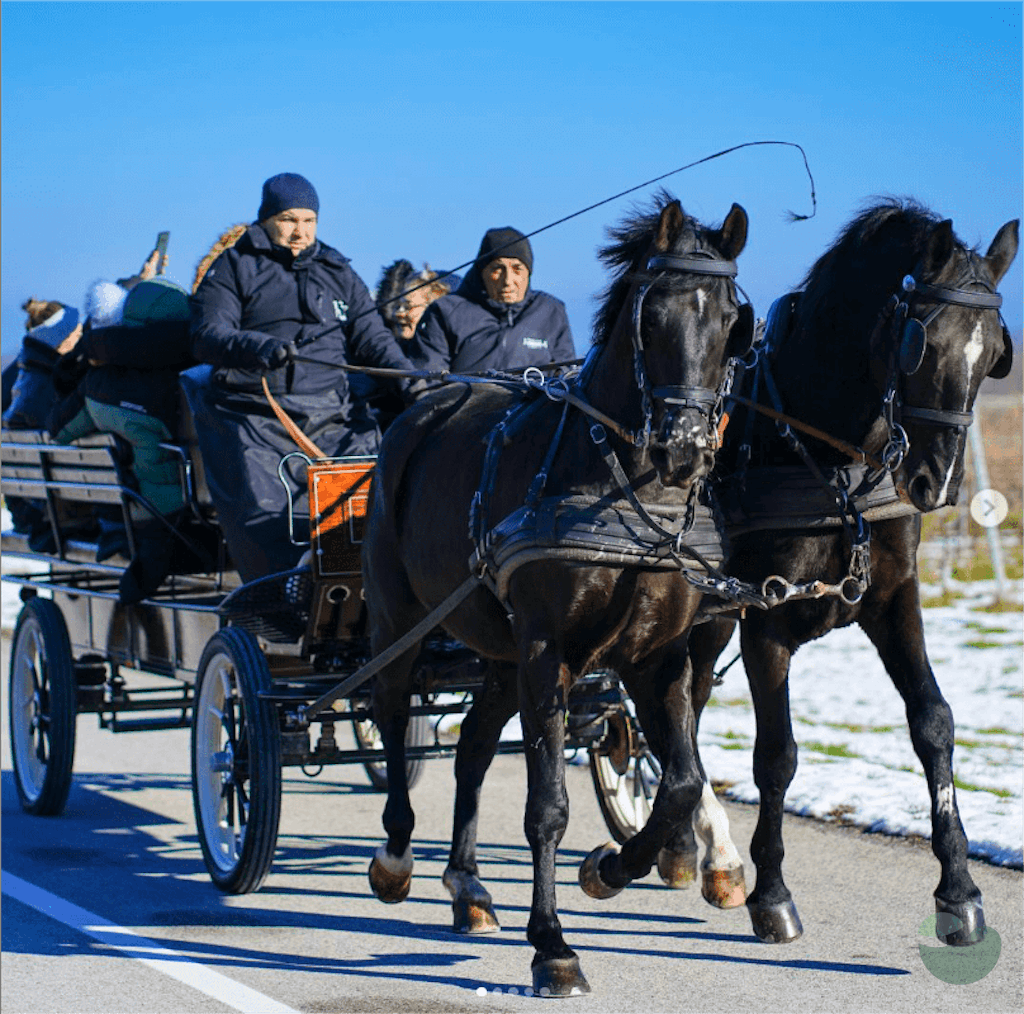 Children's Horseback Riding Adventure in Feričanci