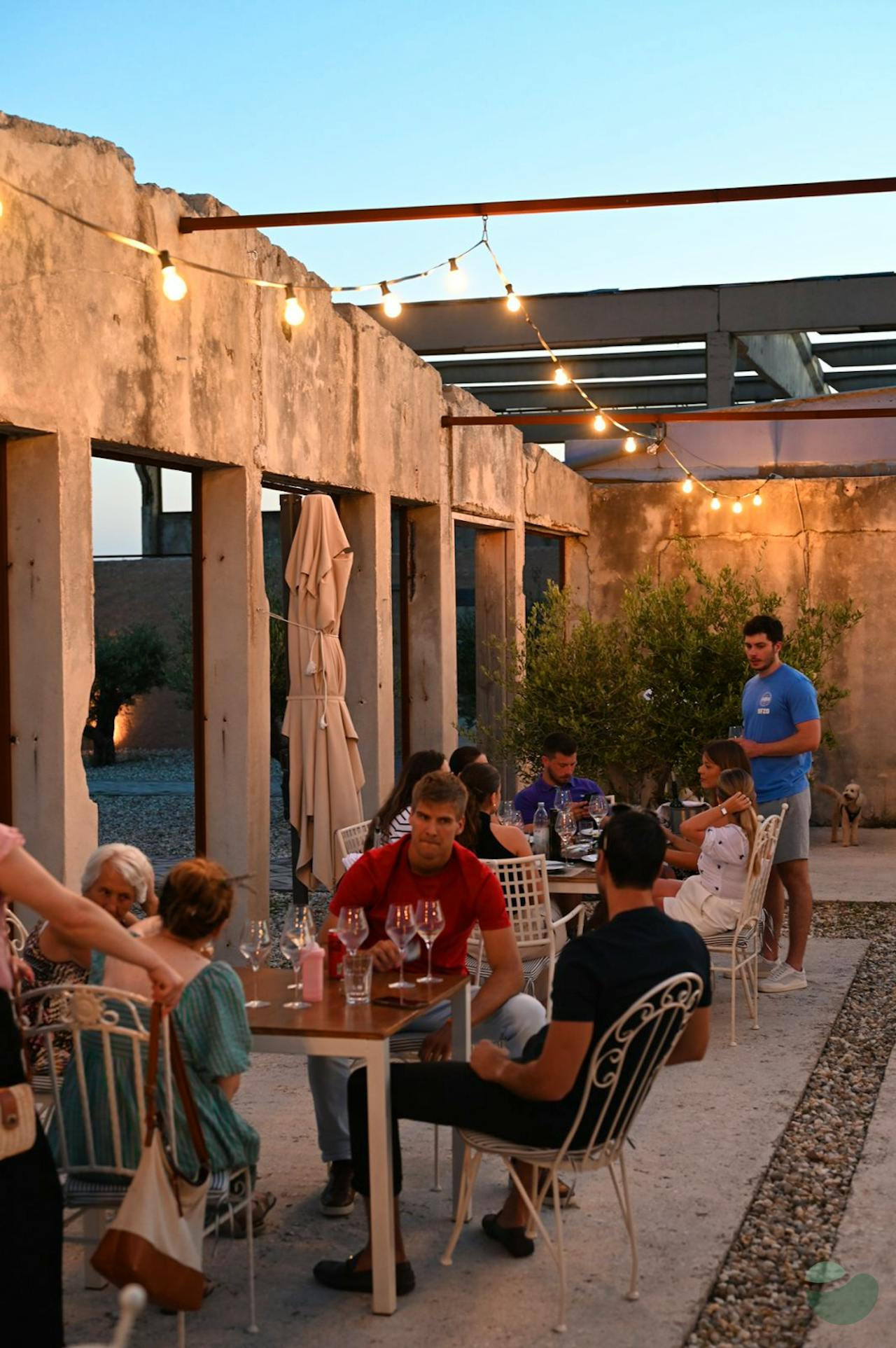 Sea Luxury&3 Wine Elegances Tasting in Morlacco near Velebit