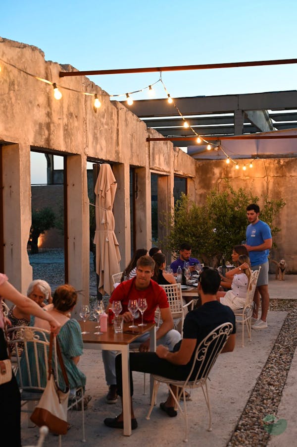 Sea Luxury&3 Wine Elegances Tasting in Morlacco near Velebit