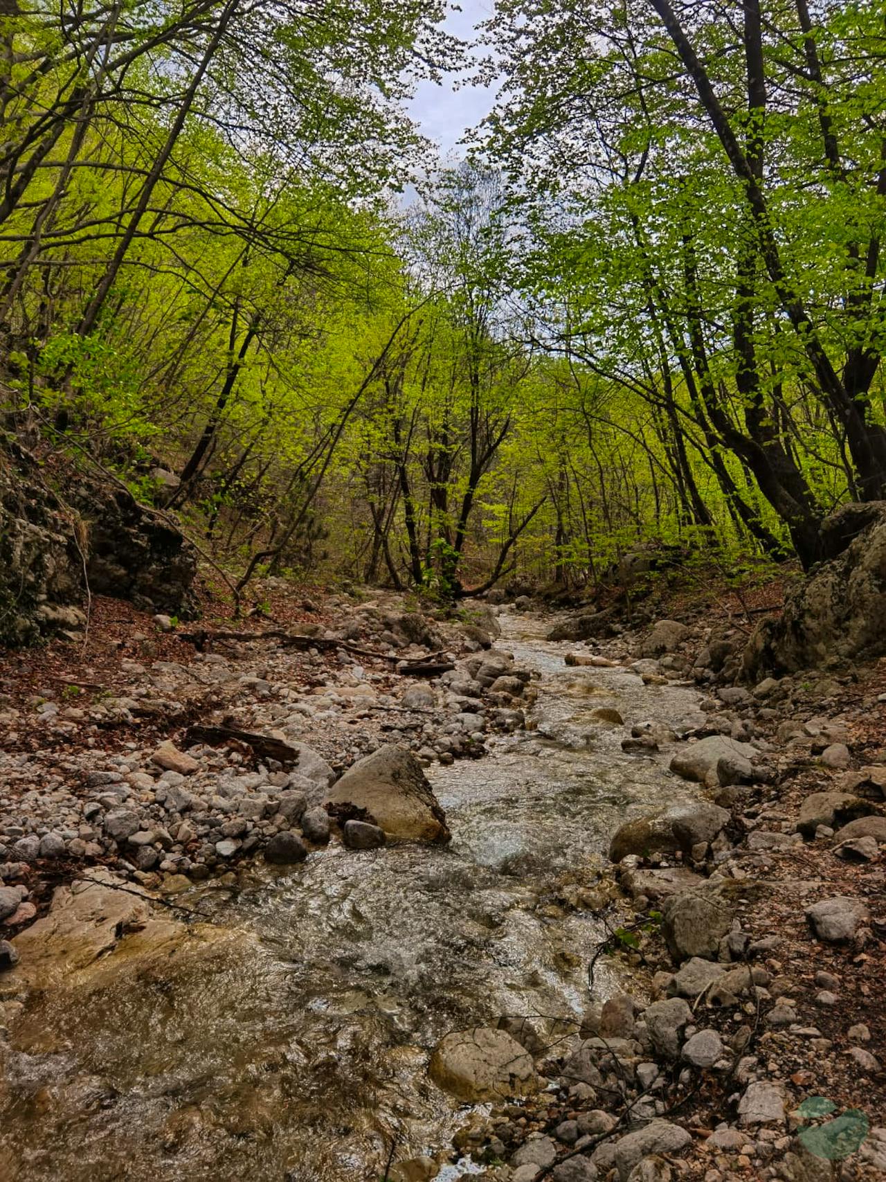 Bijela River Canyon: A Scenic Hike for Nature Lovers