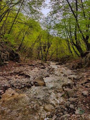 Bijela River Canyon: A Scenic Hike for Nature Lovers