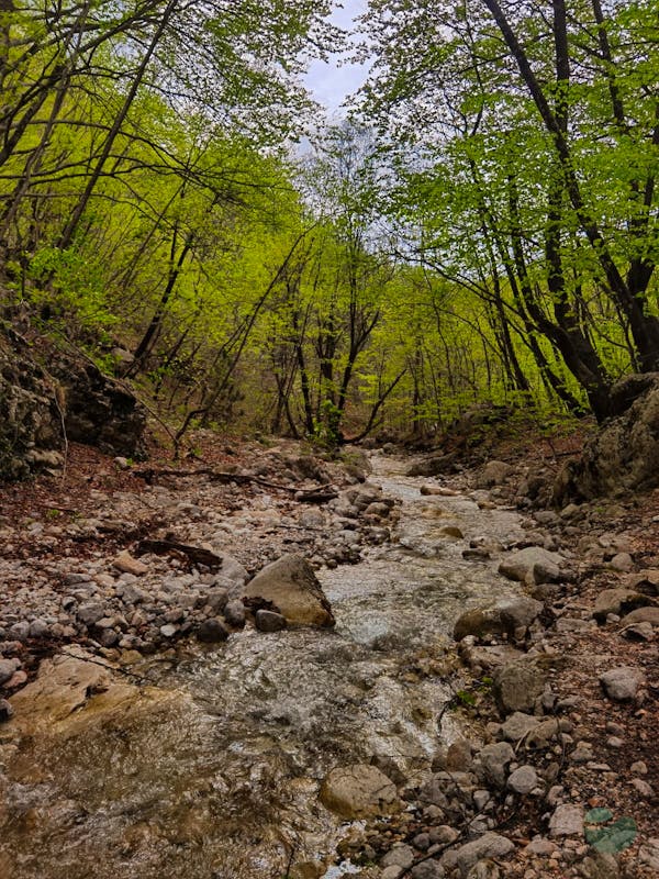 Bijela River Canyon: A Scenic Hike for Nature Lovers