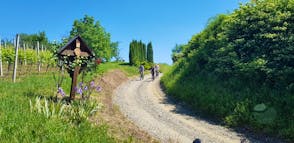 Bike & wine tour with authentic flavours of golden Slavonia