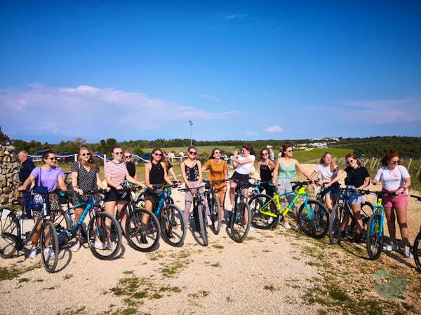 Zadar region bike & wine private tour