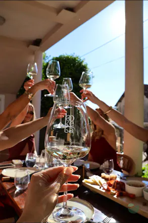 boketa Winery - Finest wine selection from Zadar Hinterland