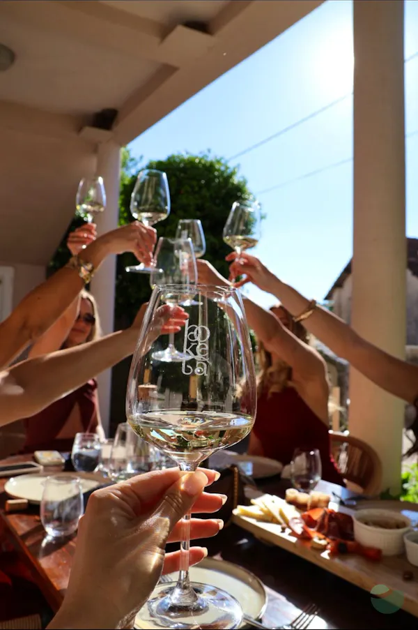 boketa Winery - Finest wine selection from Zadar Hinterland