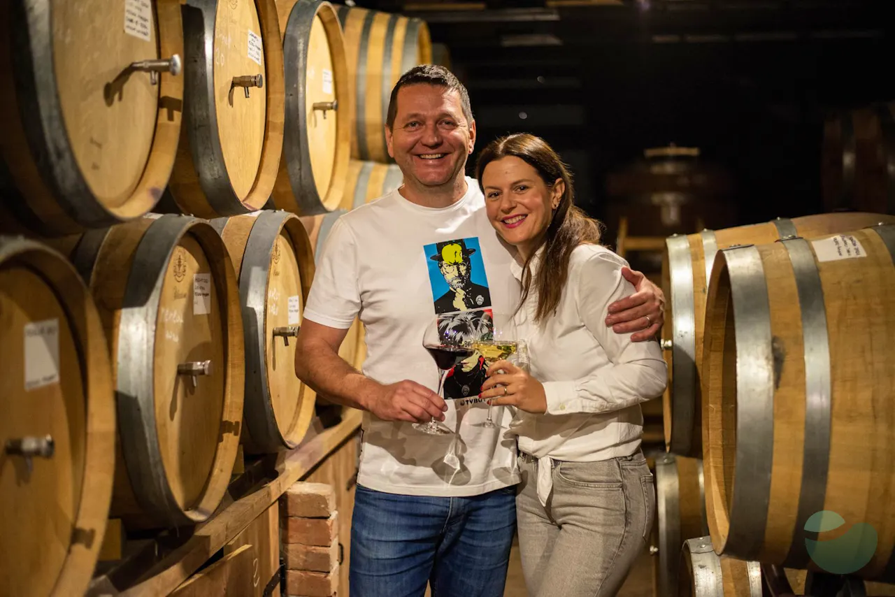 Wines & liqueurs tasting in Fiolić winery - Hotel Pinija