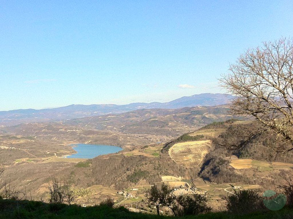 Wine tours in Istria: Motovun wine tour
